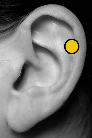 Cartilage Piercing Body Jewelry
