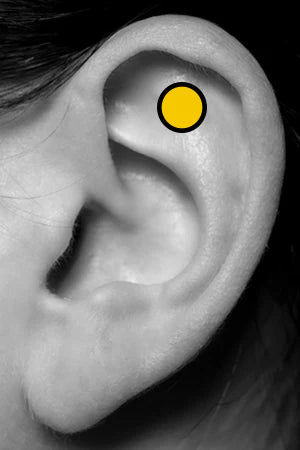 Flat Piercing Body Jewelry