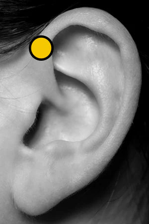 Forward Helix Piercing Body Jewelry