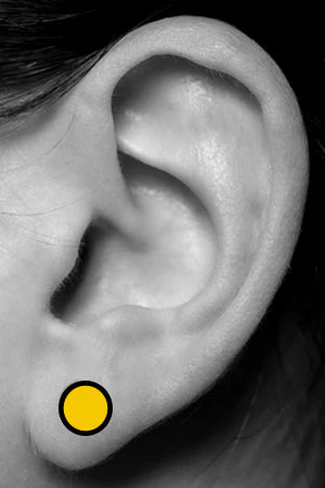 Lobe Piercing Body Jewelry