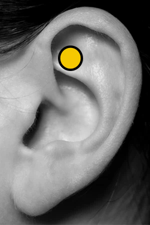 Rook Piercing Body Jewelry