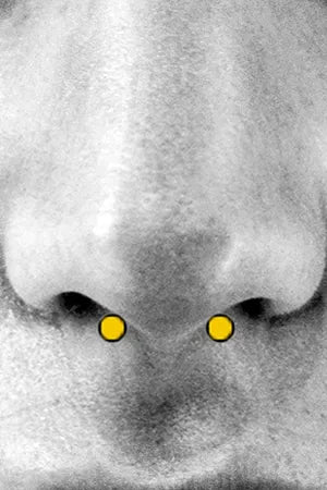 Septum Piercing Body Jewelry