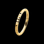 24Kt Gold PVD Titanium Pyramid Design Side Facing Hinged Segment Clicker Hoop Earring / Nosering
