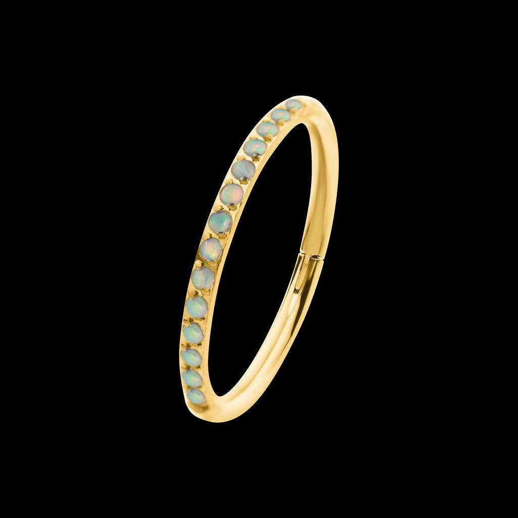 24KT Gold PVD Titanium CNC Set White Opal Eternity Side Facing Hinged Segment Clicker Hoop Earring / Nosering