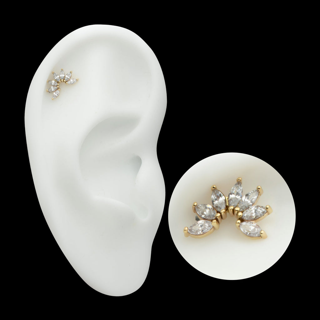 Pronged Marquise CZ Fan Shape Cluster Flatback Stud Earring / Nosering - CZ in 14Kt Yellow Gold