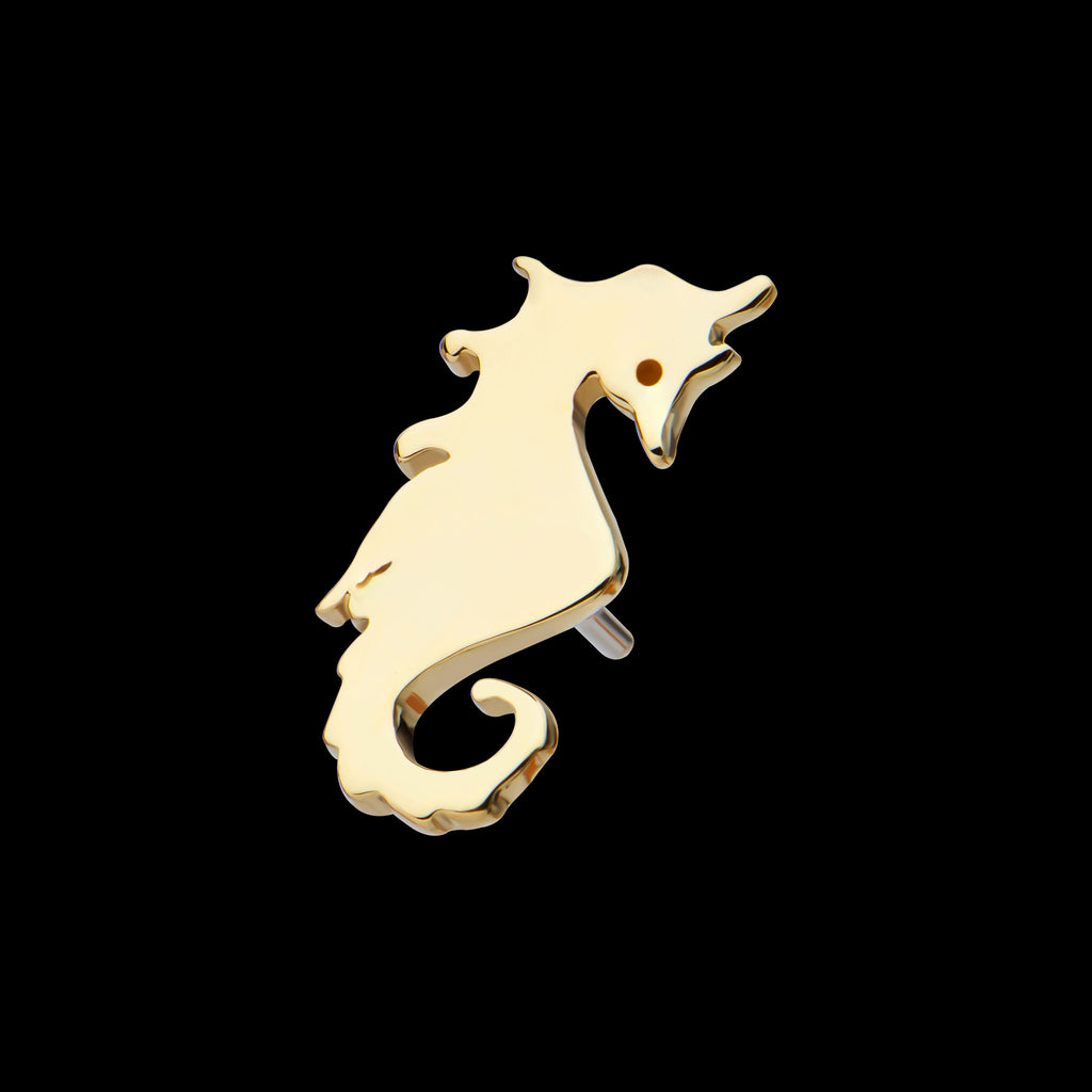 Seahorse Flatback Stud Earring / Nosering - 14Kt Yellow Gold