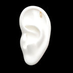 8mm Dual Clear Gem Flatback Stud Earring / Nosering - Gem in 14Kt Yellow Gold