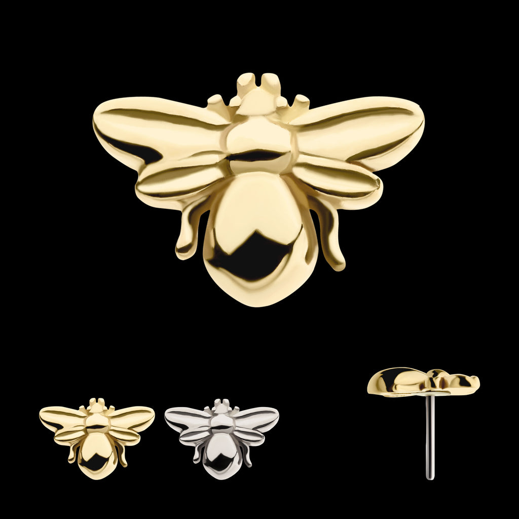 Bee Flatback Stud Earring / Nosering - 14Kt Gold