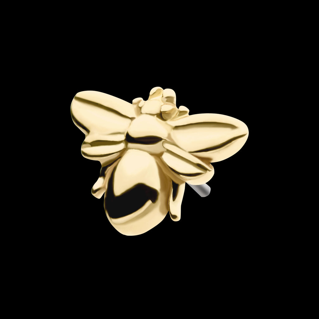 Bee Flatback Stud Earring / Nosering - 14Kt Gold