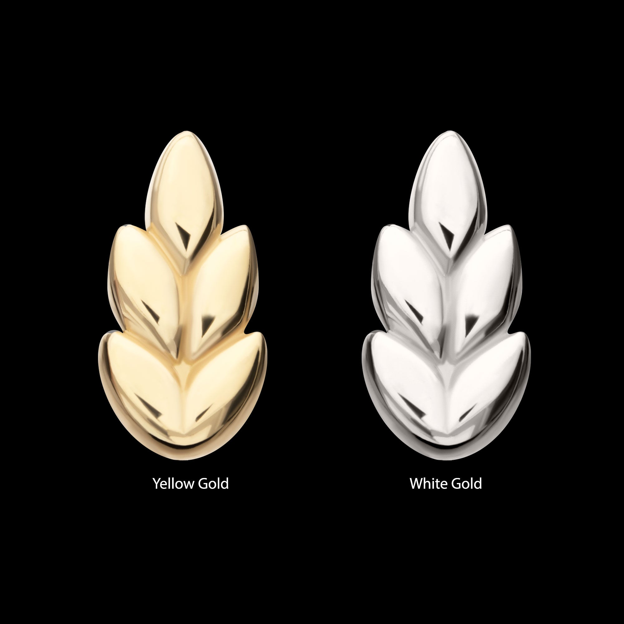 Ash Leaf Flatback Stud Earring / Nosering - 14Kt Gold