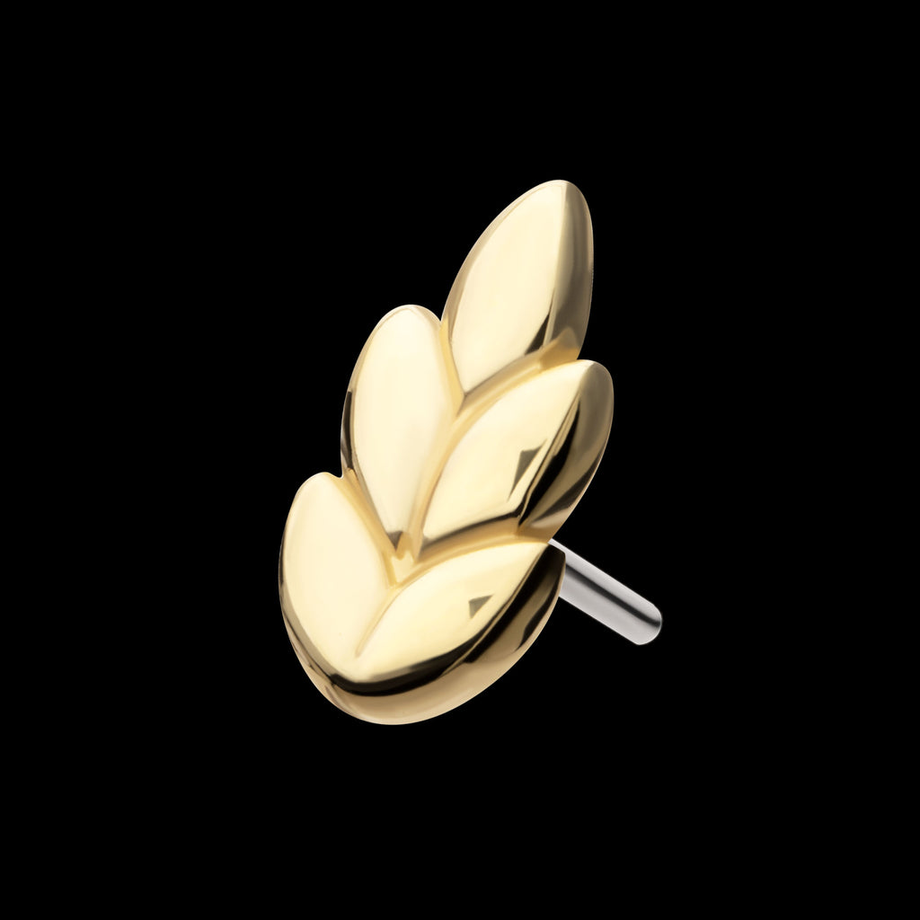 Ash Leaf Flatback Stud Earring / Nosering - 14Kt Gold