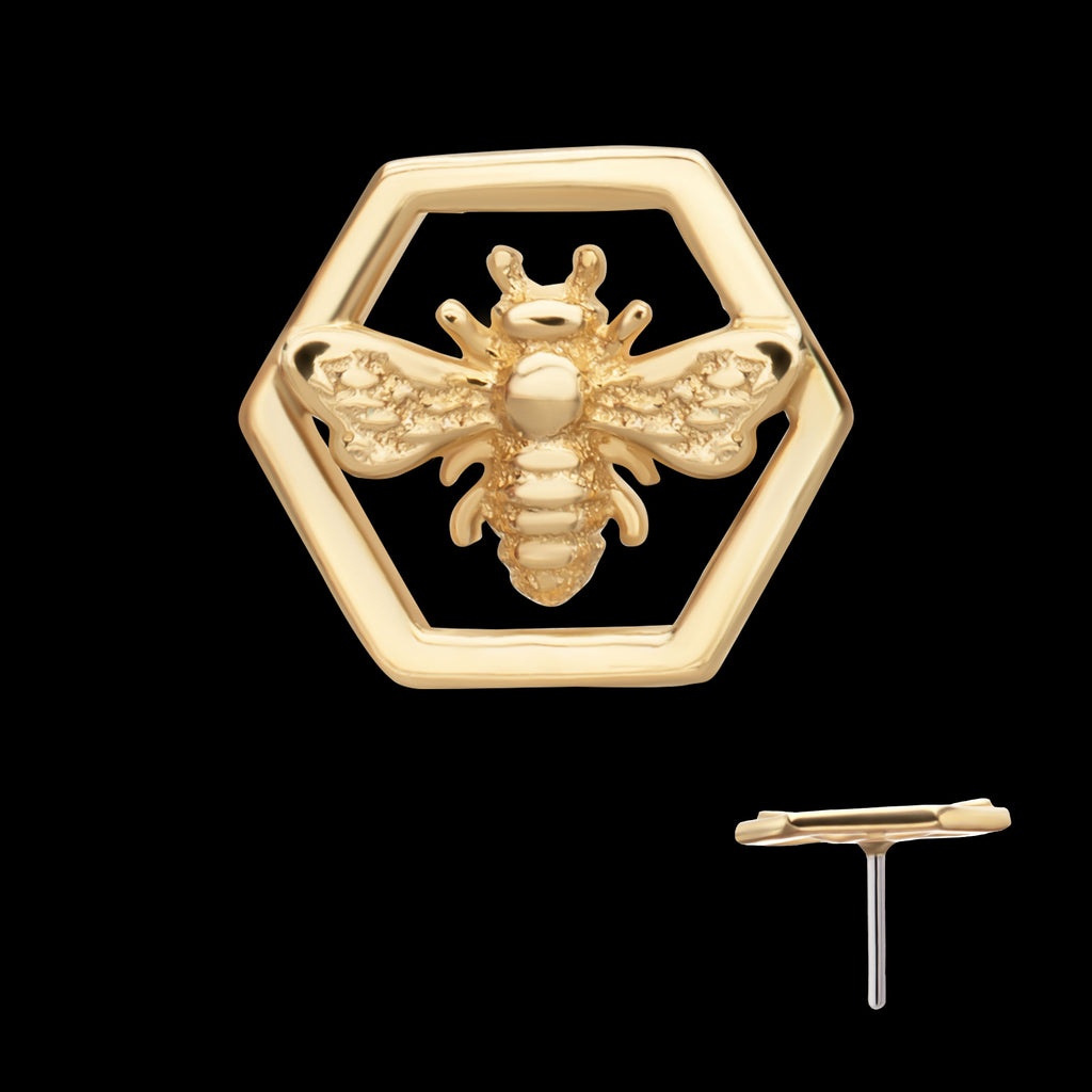 Hexagon Bee Flatback Stud Earring / Nosering - 14Kt Yellow Gold