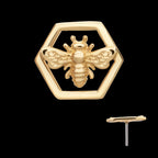 Hexagon Bee Flatback Stud Earring / Nosering - 14Kt Yellow Gold