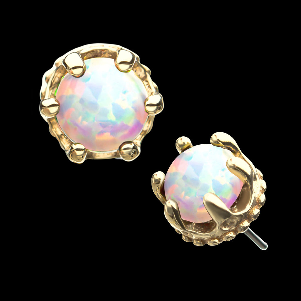 Crown Set Opal Flatback Stud Earring / Nosering - Opal in 14Kt Yellow Gold