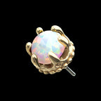 Crown Set Opal Flatback Stud Earring / Nosering - Opal in 14Kt Yellow Gold