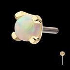 4-Prong Set White Opal Flatback Stud Earring / Nosering - White Opal & Opal in 14Kt Yellow Gold