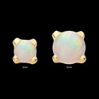 4-Prong Set White Opal Flatback Stud Earring / Nosering - White Opal & Opal in 14Kt Yellow Gold