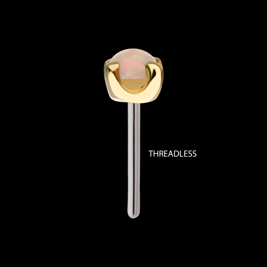 4-Prong Set White Opal Flatback Stud Earring / Nosering - White Opal & Opal in 14Kt Yellow Gold