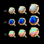 Prong Set Opal Flatback Stud Earring / Nosering - Opal in 14Kt Yellow Gold