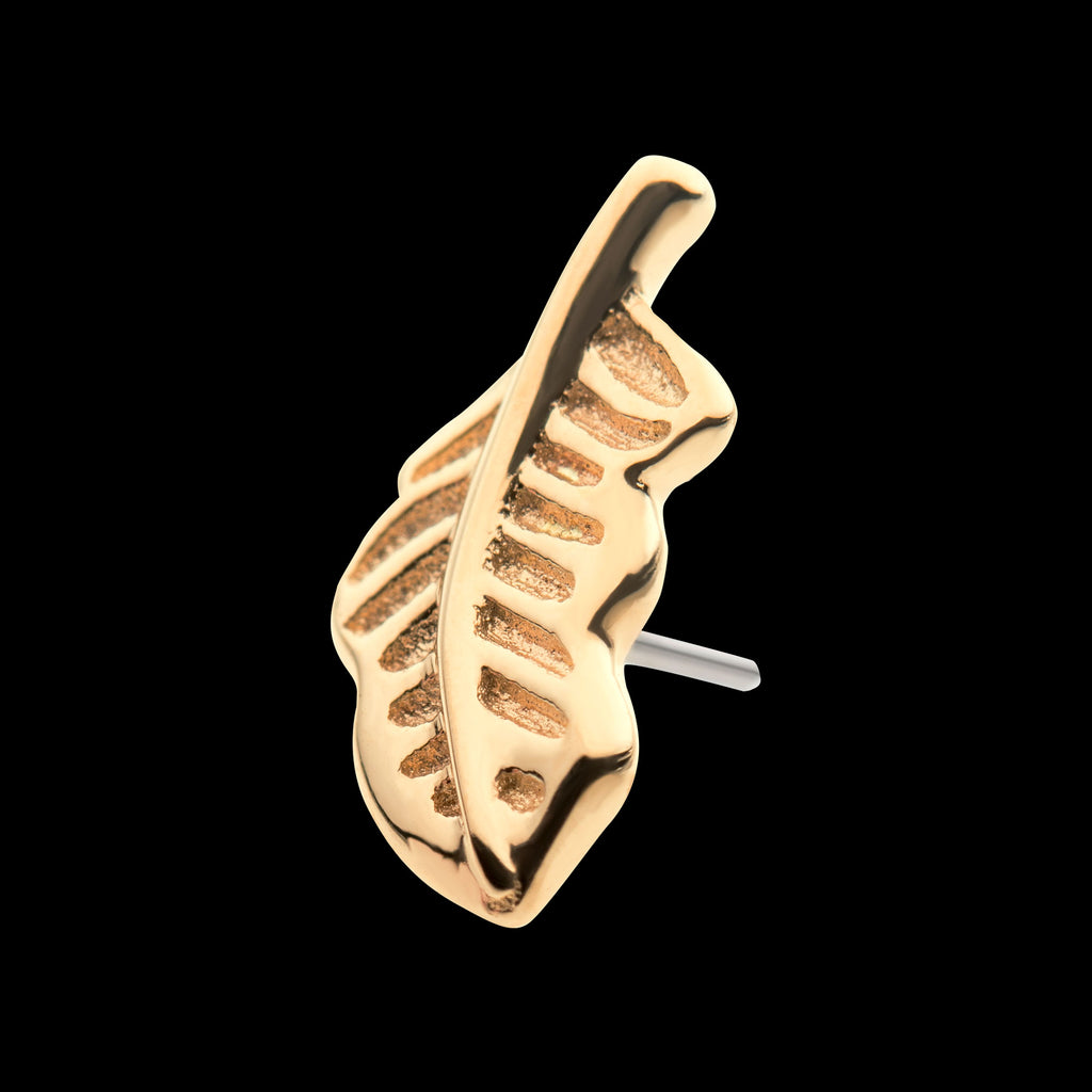Feather Flatback Stud Earring / Nosering - 14Kt Yellow Gold