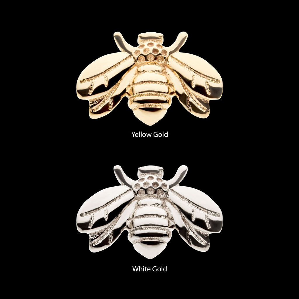 Bee Flatback Stud Earring / Nosering - 14Kt Gold