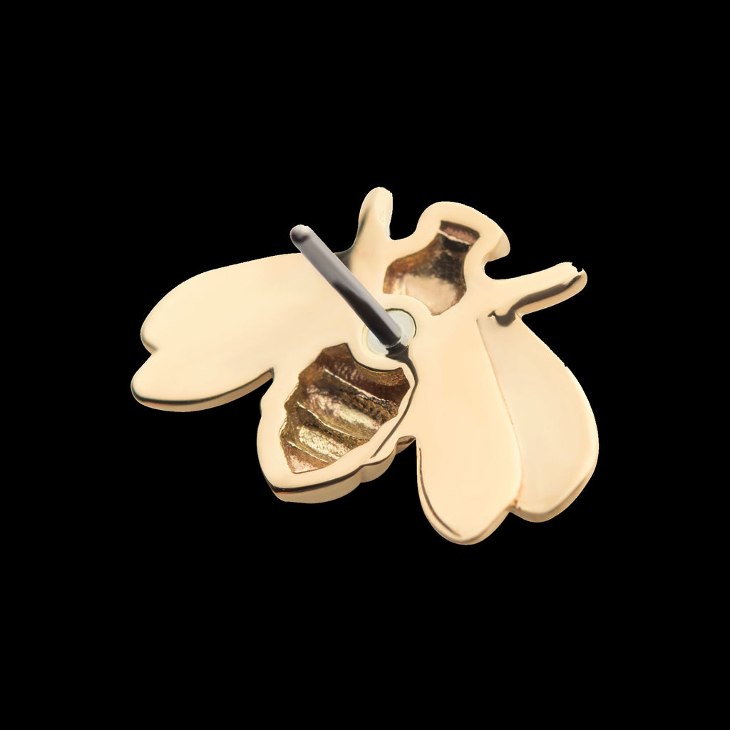 Bee Flatback Stud Earring / Nosering - 14Kt Gold