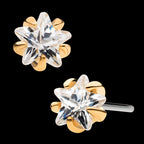 5-Prong Set Clear CZ Star Flatback Stud Earring / Nosering - Clear CZ in 14Kt Yellow Gold