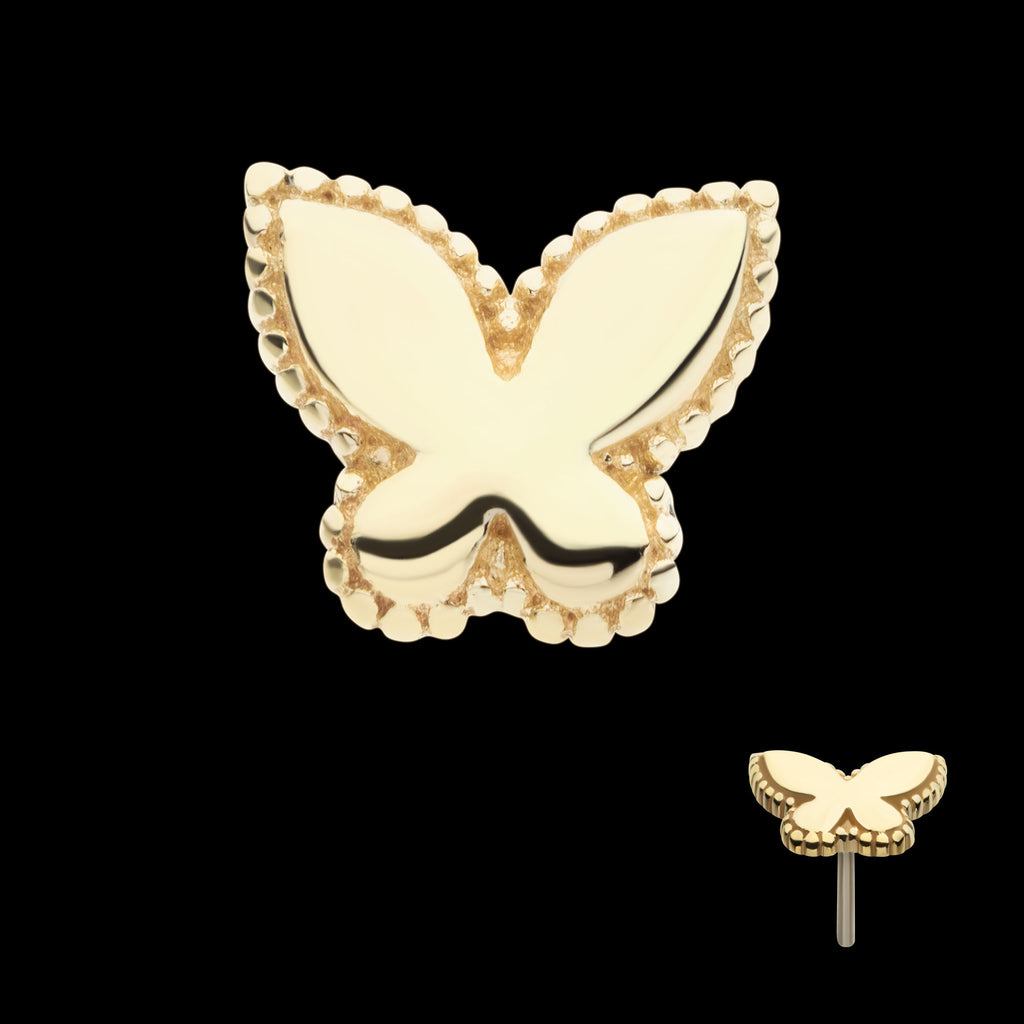 Beaded Edge Butterfly Flatback Stud Earring / Nosering - 14Kt Yellow Gold