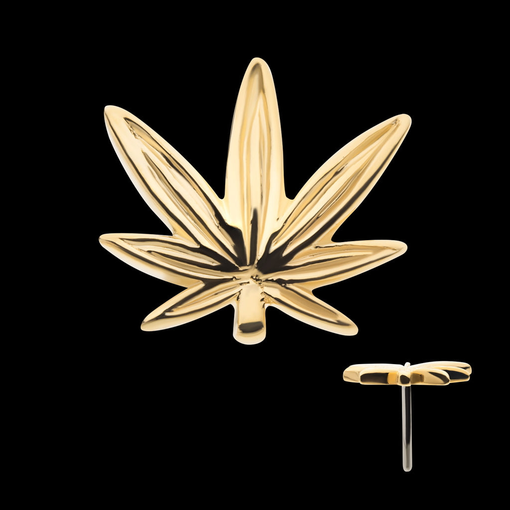Pot Leaf Flatback Stud Earring / Nosering - 14Kt Yellow Gold