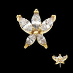 5 Marquise CZ Flower Flatback Stud Earring / Nosering - CZ in 14Kt Yellow Gold