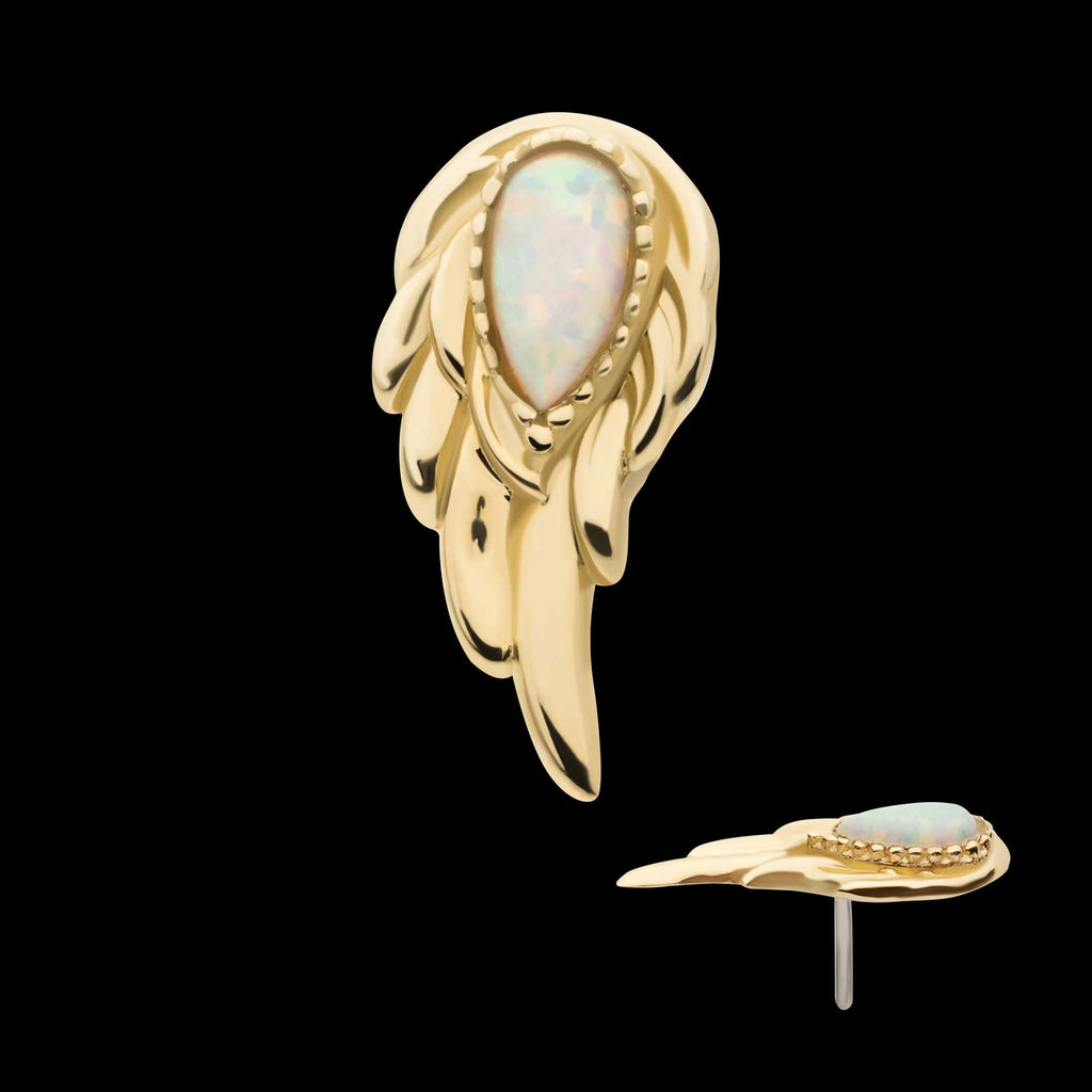 Prong Set Teardrop White Opal Wing (Right Ear) Flatback Stud Earring / Nosering - White Opal & Opal in 14Kt Yellow Gold