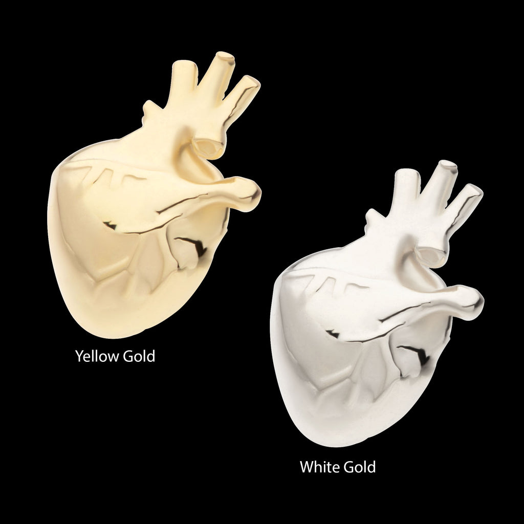 Anatomical Heart Flatback Stud Earring / Nosering - 14Kt Gold