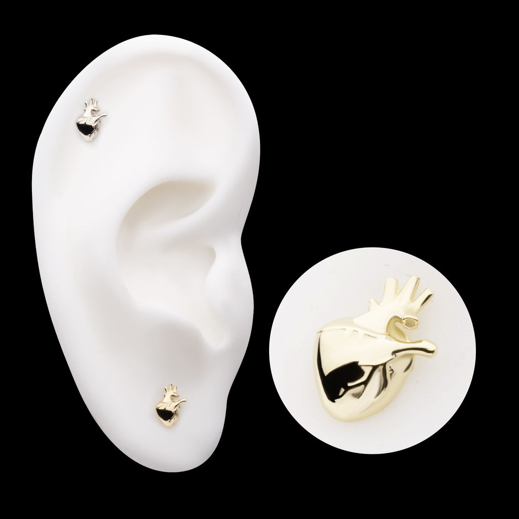 Anatomical Heart Flatback Stud Earring / Nosering - 14Kt Gold