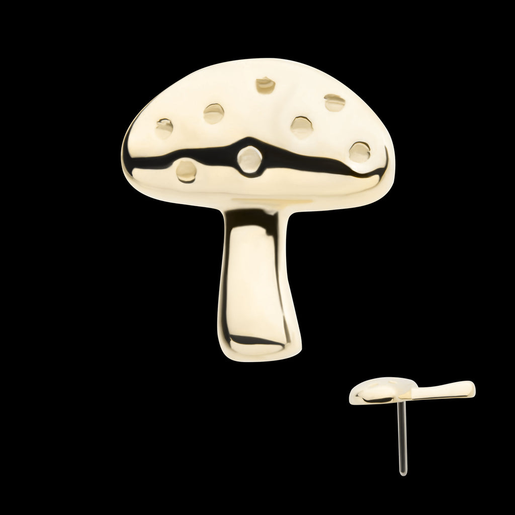 Dotted Mushroom Flatback Stud Earring / Nosering - 14Kt Yellow Gold