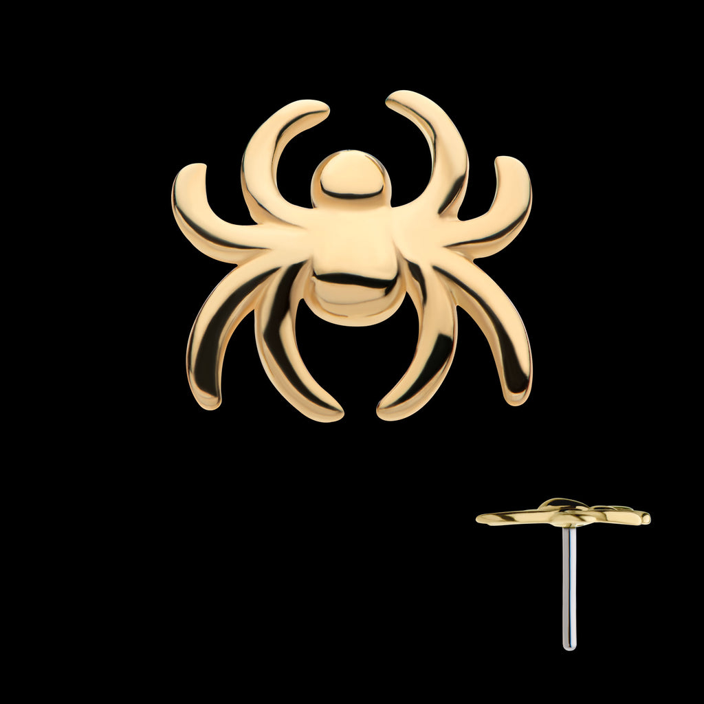 Spider Flatback Stud Earring / Nosering - 14Kt Gold