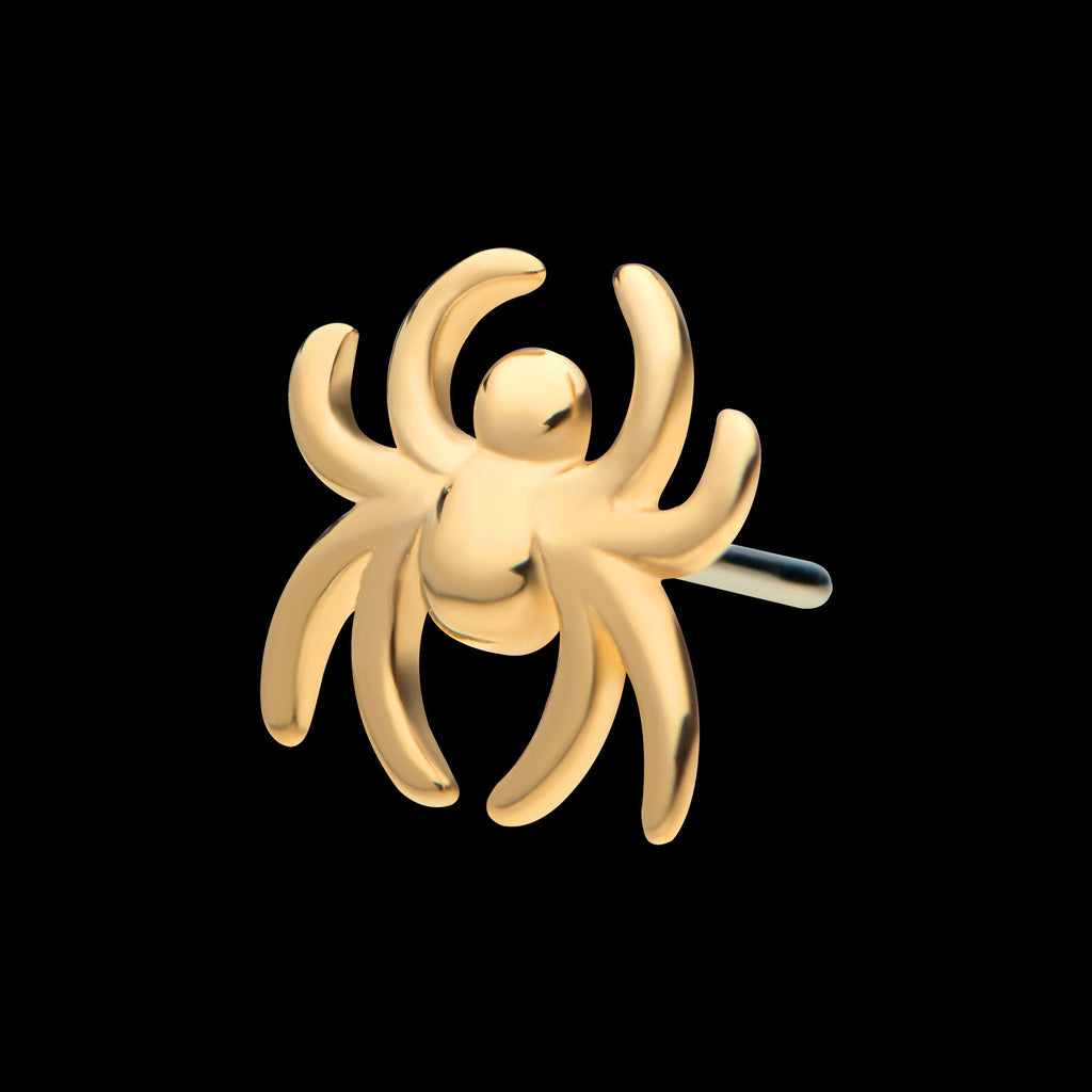 Spider Flatback Stud Earring / Nosering - 14Kt Gold