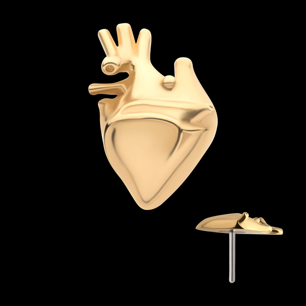 Human Heart Flatback Stud Earring / Nosering - 14Kt Yellow Gold