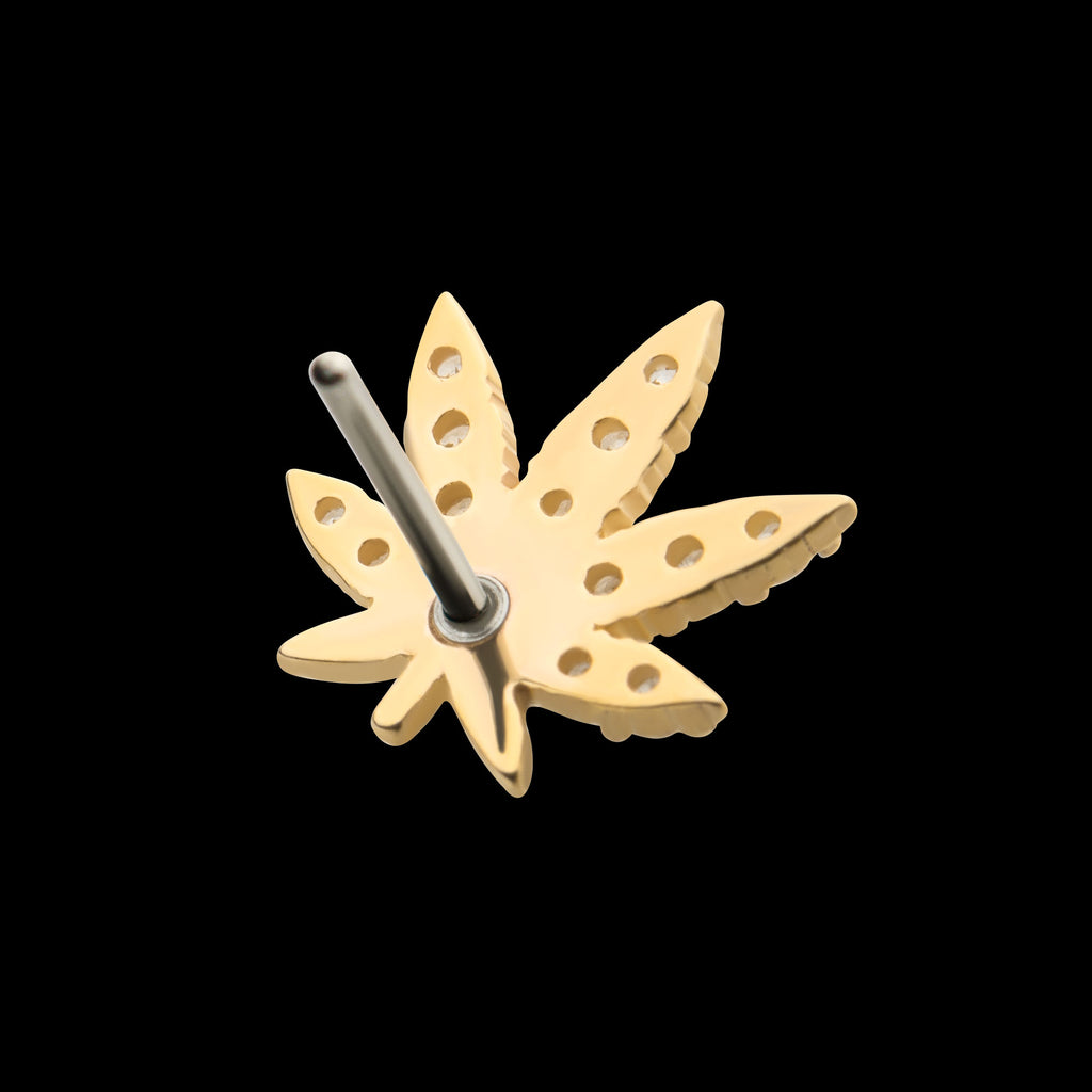 Clear & Emerald CZ Pot Leaf Flatback Stud Earring / Nosering - CZ in 14Kt Yellow Gold