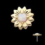 Prong Set Round White Opal Sunflower Flatback Stud Earring / Nosering - White Opal & Opal in 14Kt Yellow Gold
