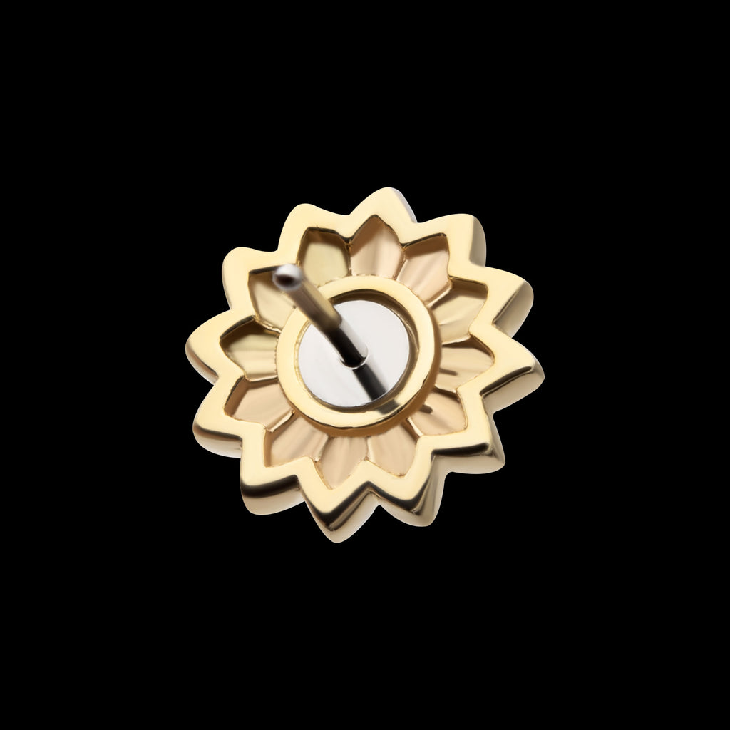 Prong Set Round White Opal Sunflower Flatback Stud Earring / Nosering - White Opal & Opal in 14Kt Yellow Gold