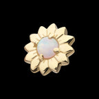 Prong Set Round White Opal Sunflower Flatback Stud Earring / Nosering - White Opal & Opal in 14Kt Yellow Gold