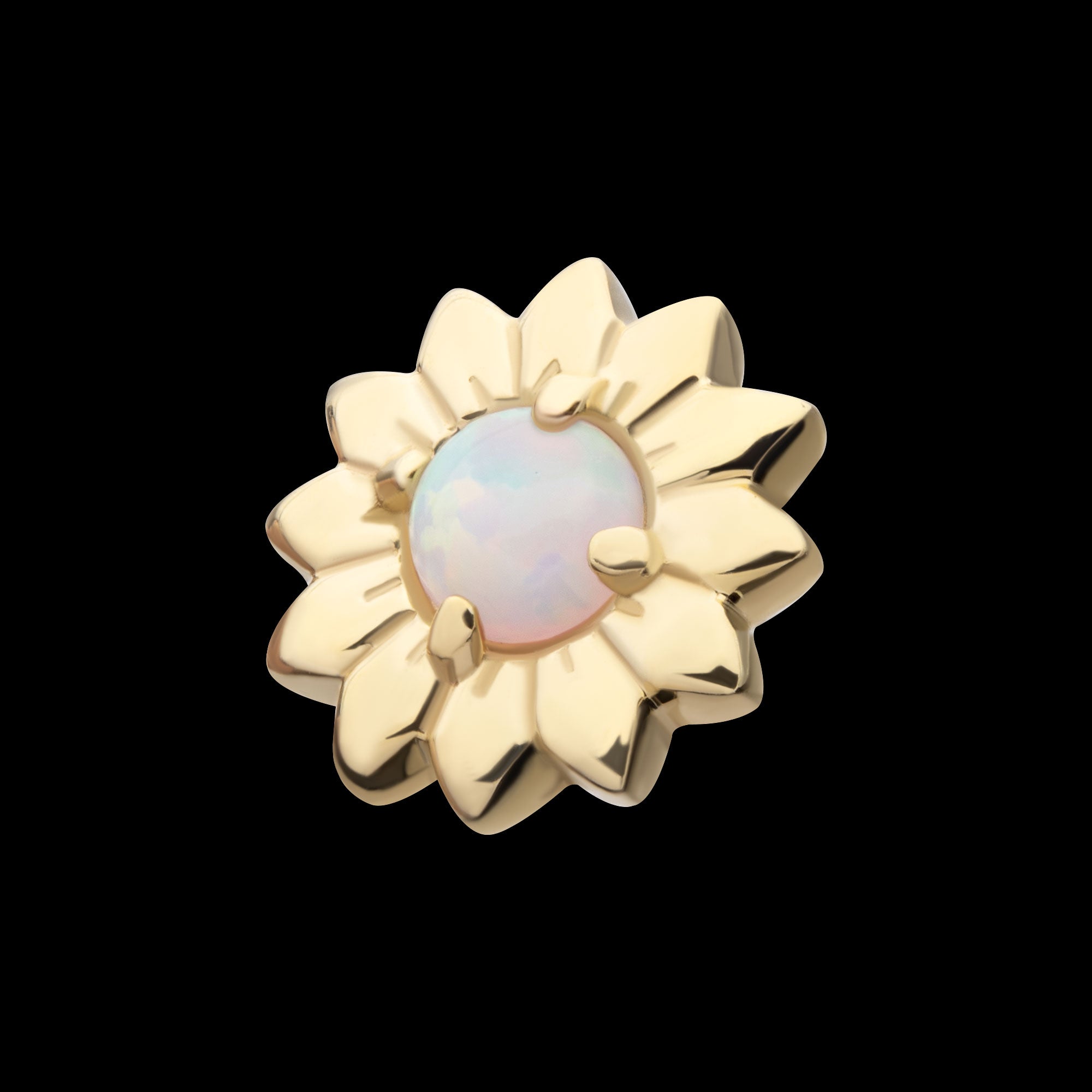 Prong Set Round White Opal Sunflower Flatback Stud Earring / Nosering - White Opal & Opal in 14Kt Yellow Gold
