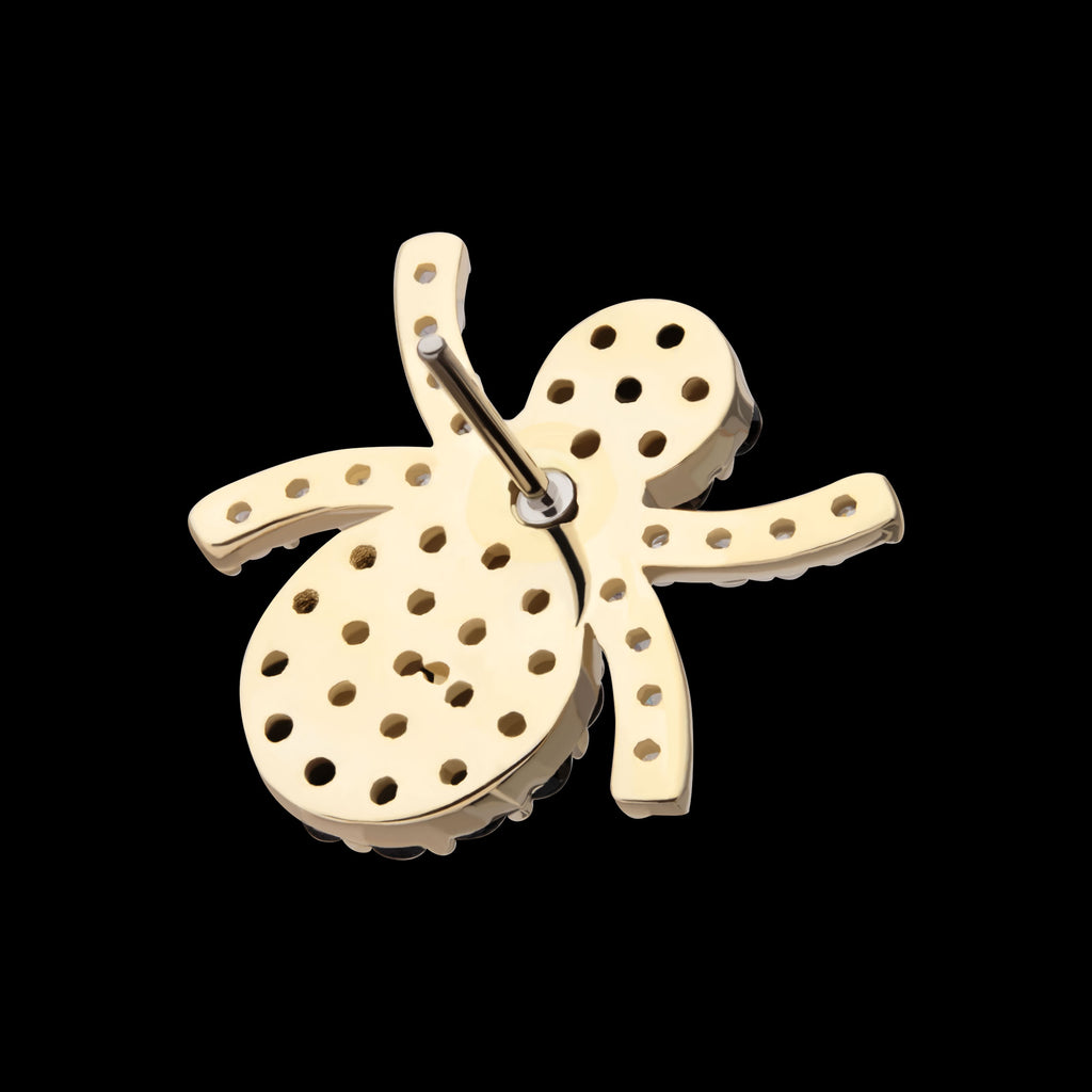 Pave Set Full Clear and Black Gem Spider Flatback Stud Earring / Nosering - Black Gem in 14Kt Yellow Gold