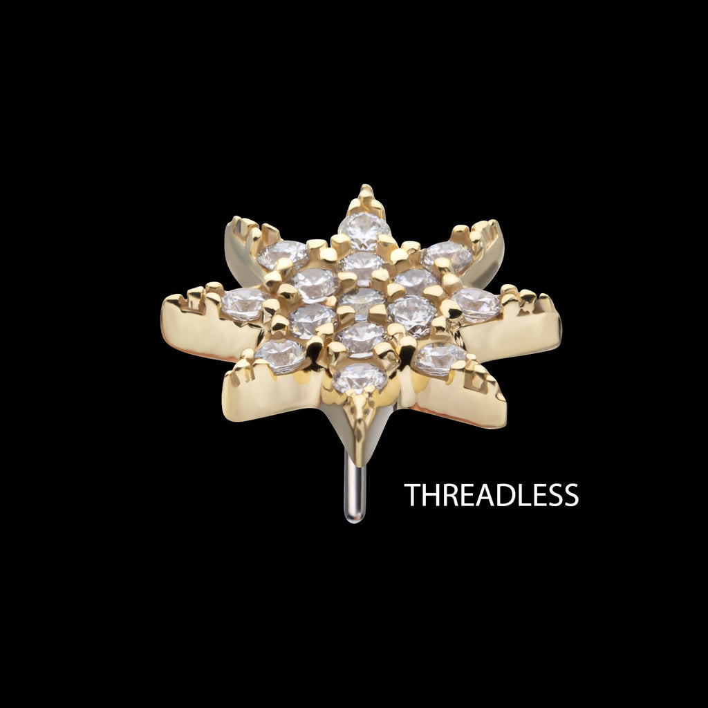 Pave Set Gem Octagram Star Flatback Stud Earring / Nosering - Gem in 14Kt Yellow Gold
