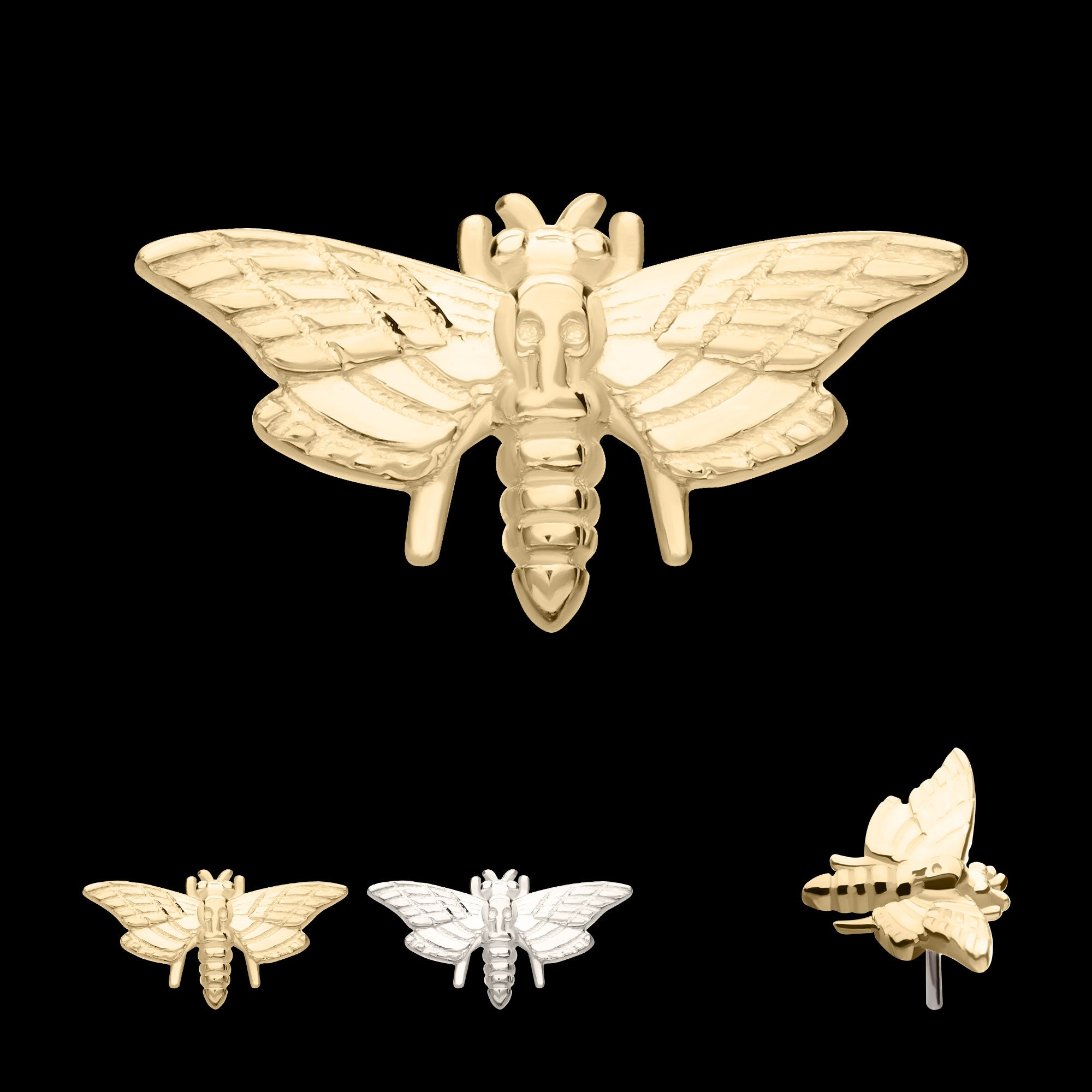 Moth Flatback Stud Earring / Nosering - 14Kt Gold