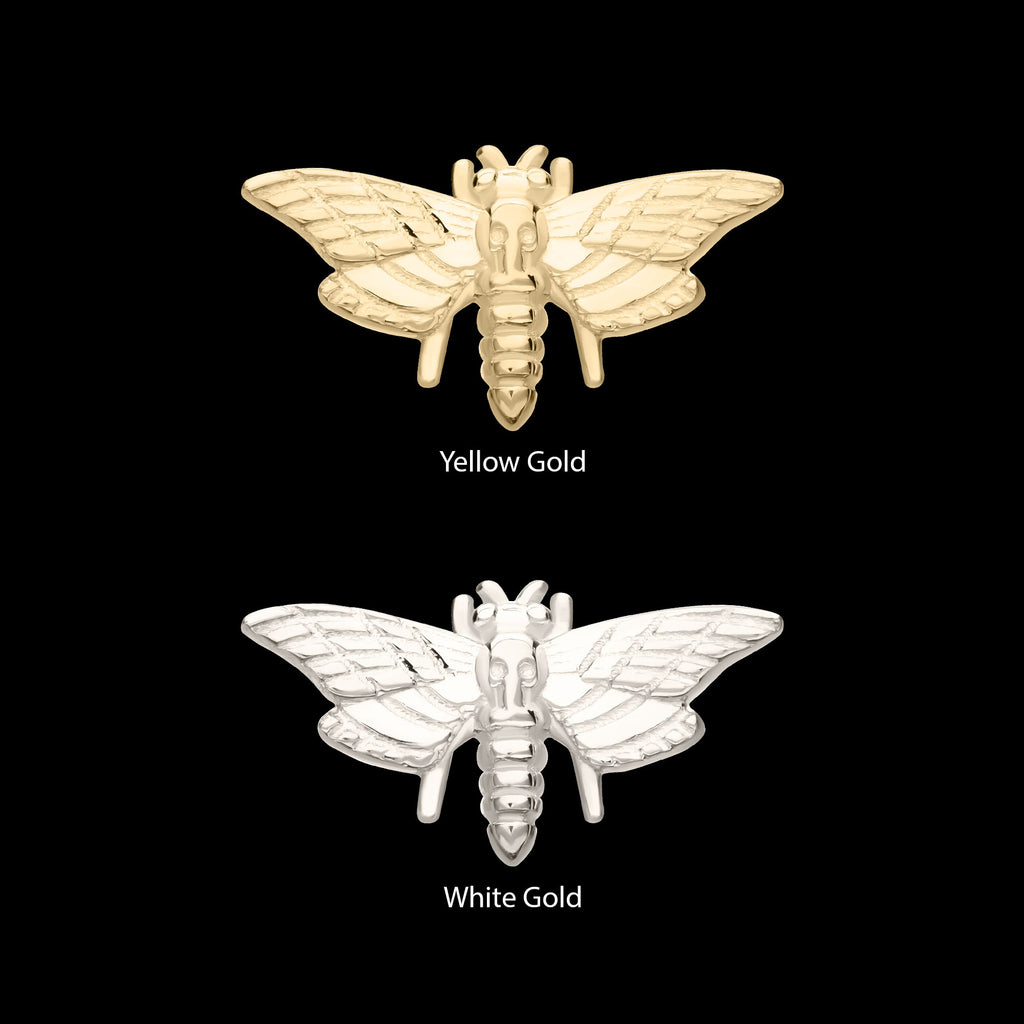 Moth Flatback Stud Earring / Nosering - 14Kt Gold