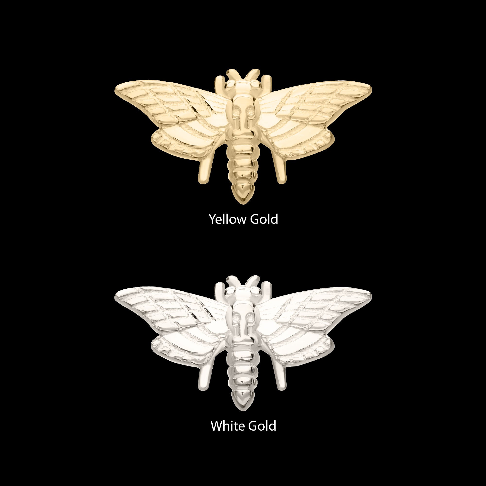 Moth Flatback Stud Earring / Nosering - 14Kt Gold