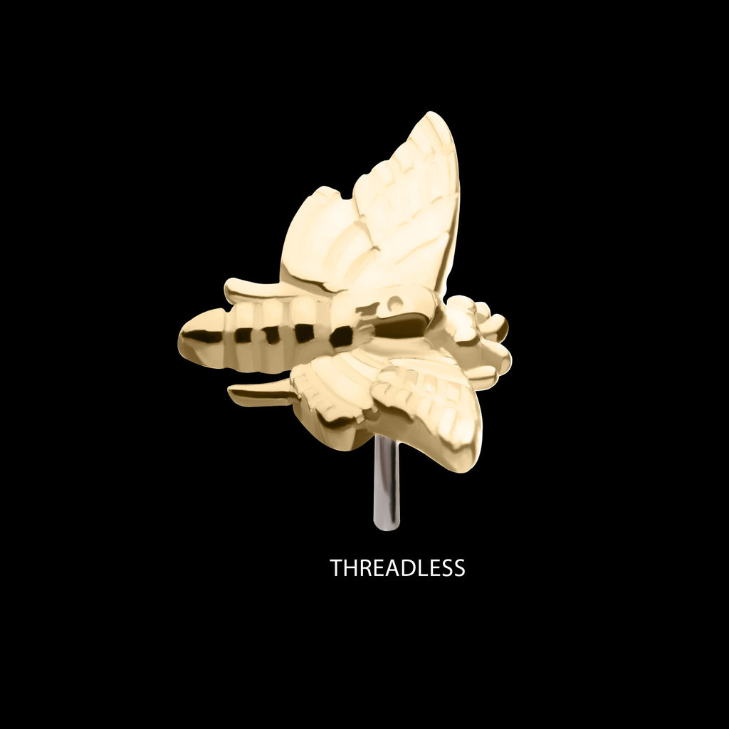 Moth Flatback Stud Earring / Nosering - 14Kt Gold