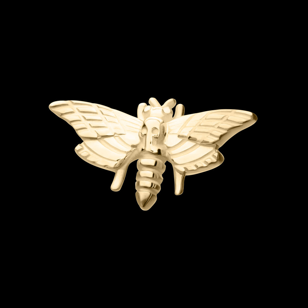 Moth Flatback Stud Earring / Nosering - 14Kt Gold