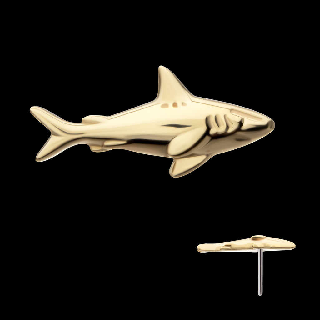 2D Shark Flatback Stud Earring / Nosering - 14Kt Yellow Gold